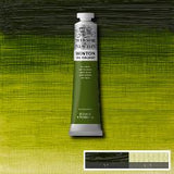 OIL PAINT – Winsor & Newton WINTON – 200ml Tube - 	Sap Green