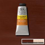 ACRYLIC PAINT - Winsor & Newton GALERIA - 60ml Tube - BURNT SIENNA