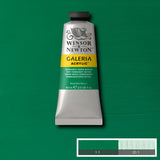 ACRYLIC PAINT - Winsor & Newton GALERIA - 60ml Tube - PERMANENT GREEN MIDDLE