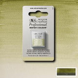 ARTISTS WATERCOLOUR PAINT - Winsor & Newton - PROFESSIONAL - HALF PAN - TERRE VERTE (YELLOW SH)
