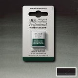 ARTISTS WATERCOLOUR PAINT - Winsor & Newton - PROFESSIONAL - HALF PAN - PERYLENE GREEN