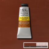 ACRYLIC PAINT - Winsor & Newton GALERIA - 60ml Tube - BURNT SIENNA OPAQUE