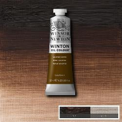 OIL PAINT – Winsor & Newton WINTON – 37ml tube - 	Vandyke Brown