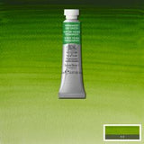 ARTISTS WATERCOLOUR PAINT - Winsor & Newton - PROFESSIONAL -  5ml Tube - Permanent Sap Green