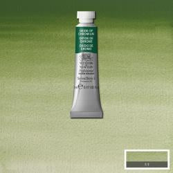 Watercolour 5ml Tube - Winsor & Newton Professional -  Oxide Of Chromium