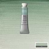 ARTISTS WATERCOLOUR PAINT - Winsor & Newton - PROFESSIONAL -  5ml Tube - Terre Verte
