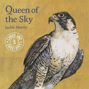 Jackie Morris- Queen of the Sky, Set of 5 Gift Cards & Envelopes