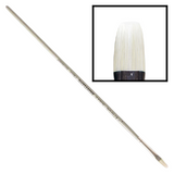 Oil & Acrylic Paint Brush - Pro Arte - Series D - BRISTLENE Synthetic Bristle – FLAT – 12