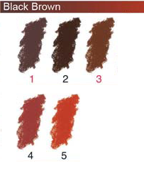 Sennelier Extra Soft Pastel Black Brown 002 – Solubile In Acqua, Per Artisti