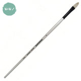 ARTIST BRUSH - Daler Rowney - GRADUATE -  Bristle -   FILBERT 4 Long handle